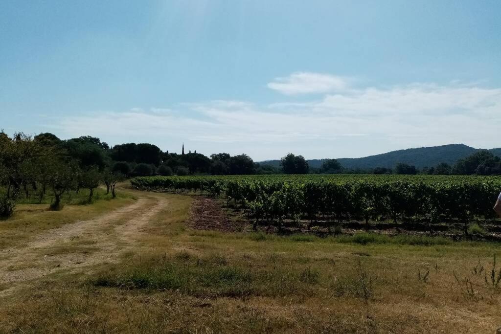 Charmant Appartement T2 Au Coeur Des Vignes 孔格林 外观 照片