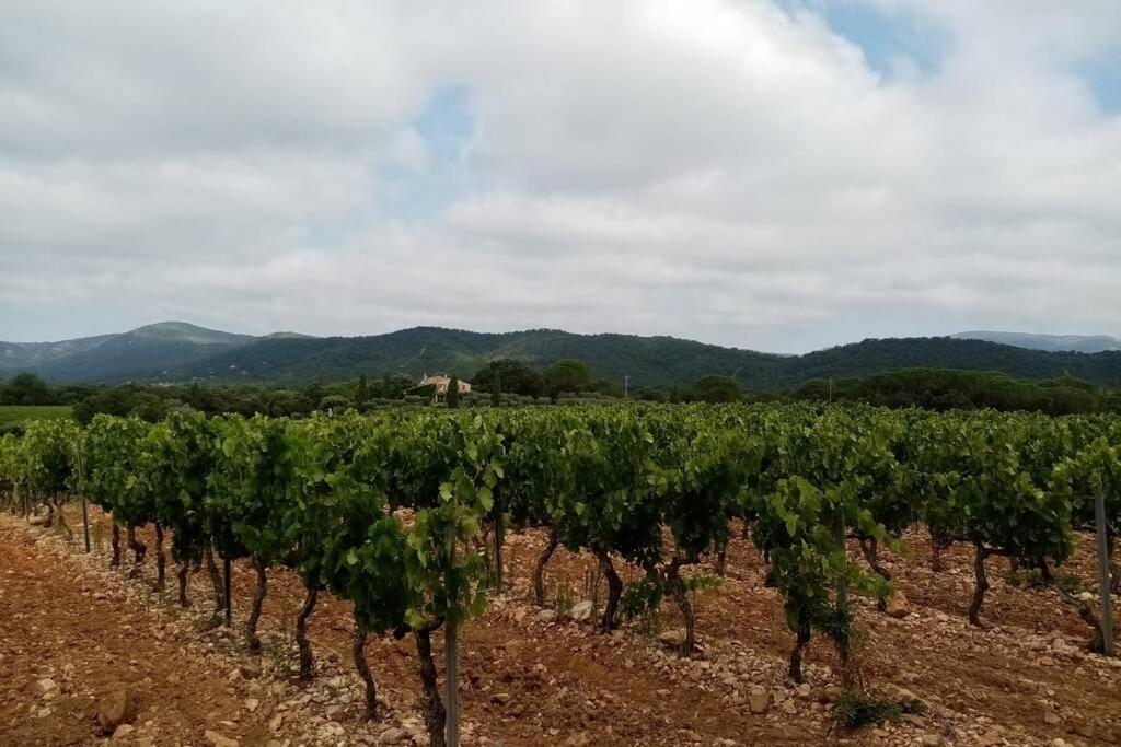 Charmant Appartement T2 Au Coeur Des Vignes 孔格林 外观 照片