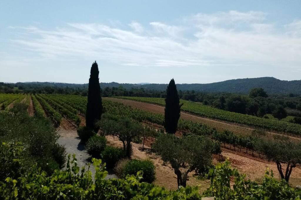 Charmant Appartement T2 Au Coeur Des Vignes 孔格林 外观 照片