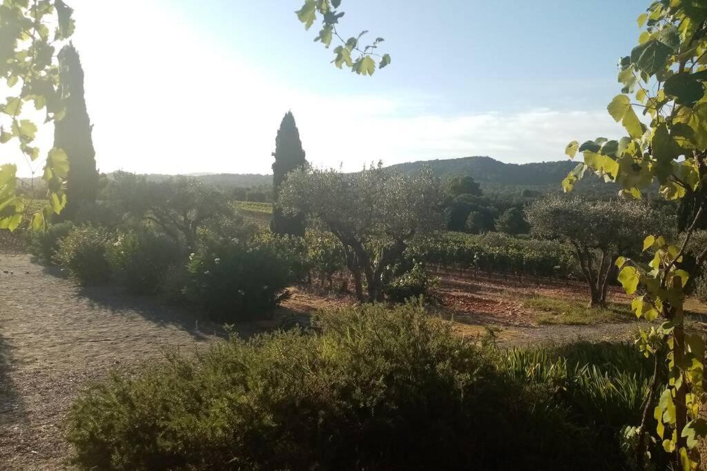 Charmant Appartement T2 Au Coeur Des Vignes 孔格林 外观 照片