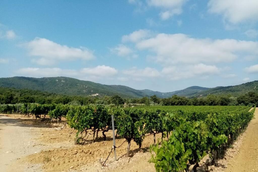 Charmant Appartement T2 Au Coeur Des Vignes 孔格林 外观 照片