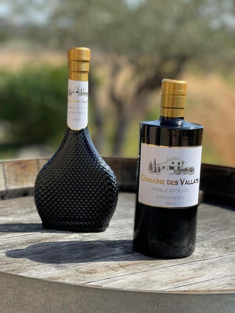 Charmant Appartement T2 Au Coeur Des Vignes 孔格林 外观 照片