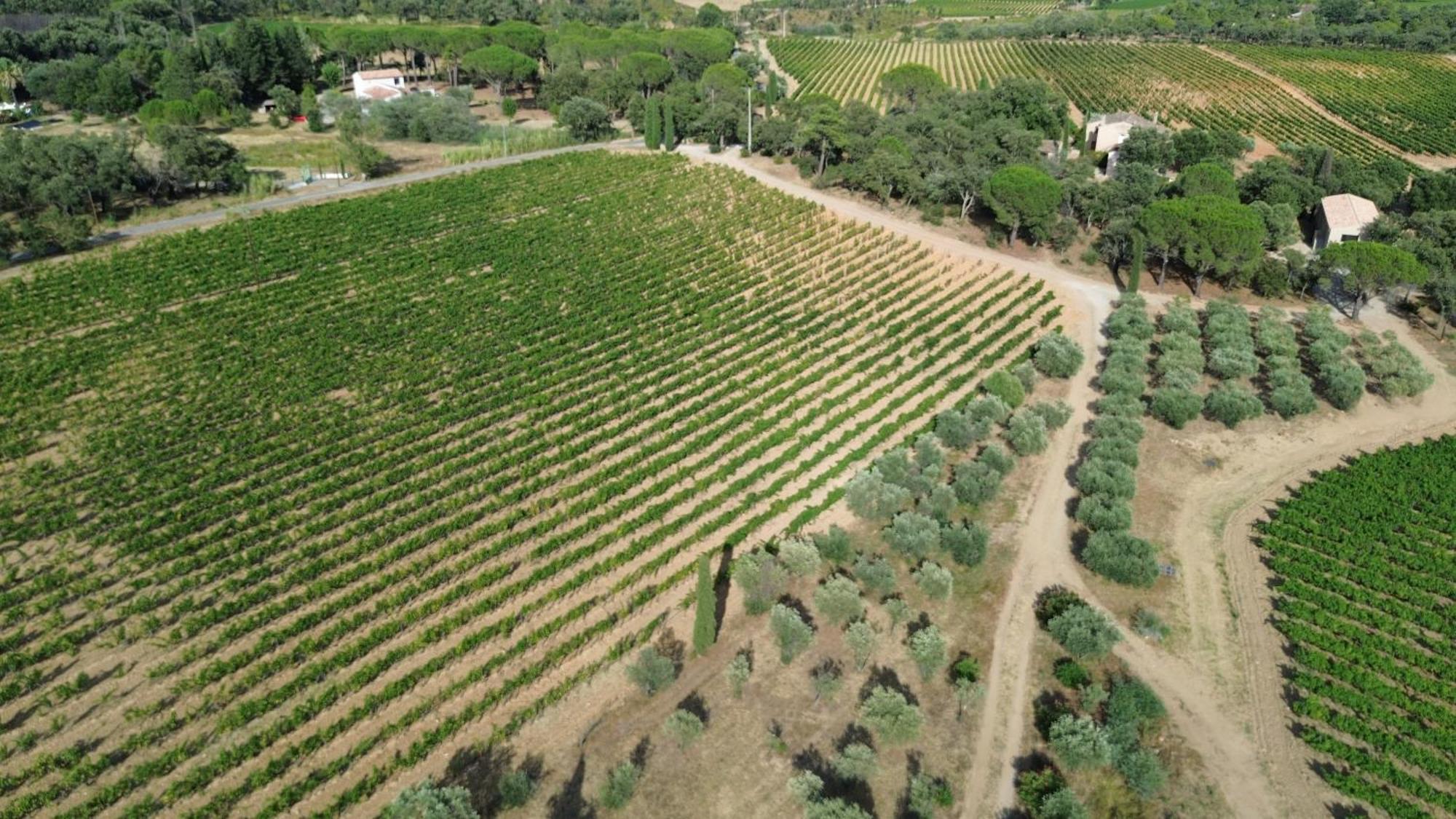 Charmant Appartement T2 Au Coeur Des Vignes 孔格林 外观 照片